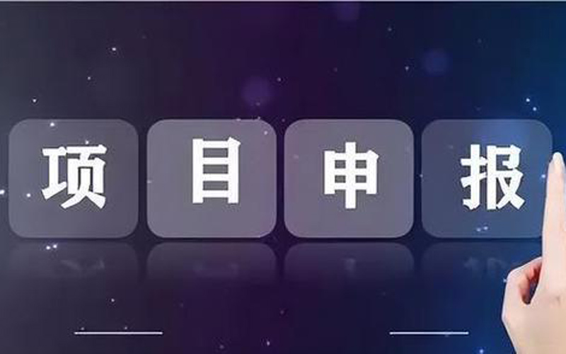 政府项目申报